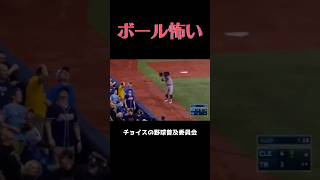 【MLB】ボール怖い 野球 珍プレー mlb [upl. by Acirretahs]