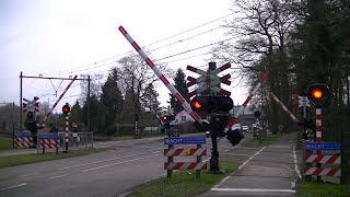 Spoorwegovergang DriebergenZeist  Dutch railroad crossing [upl. by Santana]