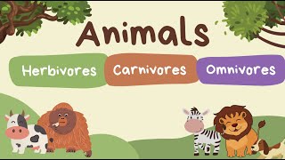 Animals  herbivore carnivore and omnivores quiz [upl. by Eidnas439]