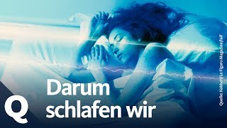 Mehr als lebenswichtig Darum schlafen wir  Quarks [upl. by Alleusnoc]