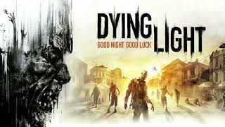 Dying Light Harran Prison Combat Music [upl. by Kir]