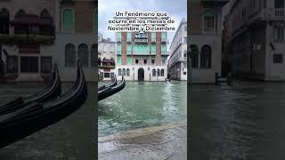 I Survived 30 Days in VENECIA INUNDADA Heres What Happened [upl. by Wernsman]