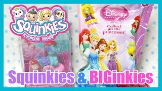 Squinkies amp BIGinkies Blind Bag [upl. by Aroc]