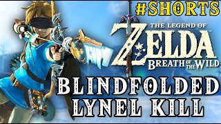 Zelda Breath of the Wild  Blindfolded Lynel Kill [upl. by Carmelita868]