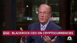 BlackRock CEO Larry Fink Bitcoin ETF approvals are stepping stones towards tokenization [upl. by Miyasawa355]