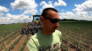 Changing Cultivator Sweeps and Hilling Corn [upl. by Aehr]