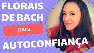 🌸 4 Florais de Bach para AUTOCONFIANÇA 🌸 Thaís Scapim [upl. by Hendren794]