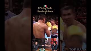 Marco Antonio Barrera Vs Erik el terrible morales [upl. by Yadsendew393]