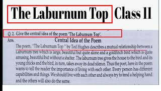 The Laburnum Top Central Idea  Central Idea of the poem the Laburnum Top  In hindi  Explain [upl. by Hachmann]