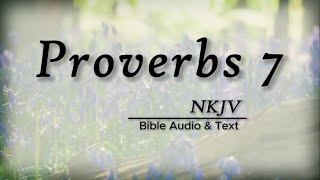 Proverbs 7 Bible Audio amp Text  The Crafty Harlot  NKJV [upl. by Ytnom]