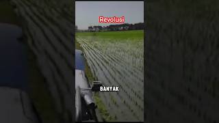 REVOLUSI Pertanian Sawah jadi futuristik shortvideo revolution pertanian [upl. by Gates]