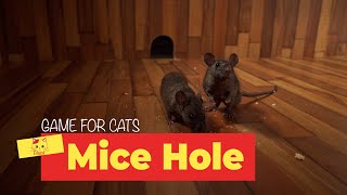 Mice for Cats to Watch  CAT TV 🐀 Chasing Mice Cat Game on Screen [upl. by Eiramnna]