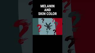 How Does Melanin Affect Skin Color shorts melanin [upl. by Carrissa]