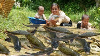 Meet a giant school of fish with your child  catch fish and trap fish on a rainy day [upl. by Karlene160]