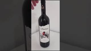 Vinho Fino Tinto Vanisul 750ml [upl. by Hayouqes873]