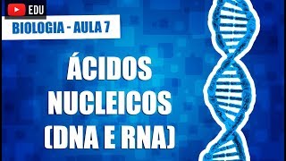 Ácidos nucleicos DNA e RNA  Biologia  Aula 07 [upl. by Lirbij862]