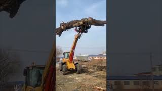 Multifunctional telescopic arm loader telescopic arm wood grabber telescopic arm forklift loader [upl. by Rollie]