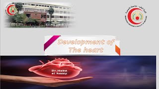 Development of the heart 1 [upl. by Setsero660]