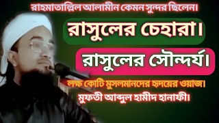 রাসুলের চেহারা। Muhammad Sa Koto Sundor CiloNew Waz মুফতী আব্দুল হামীদ হানাফী [upl. by Nahgrom]