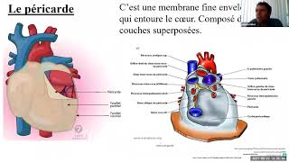 Le Système Cardiovasculaire  Cours Complet [upl. by Ffirahs]