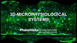 3DMicrophysiological Systems [upl. by Demetrius]