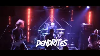 DENDRITES  Throwing Rocks Official Music Video [upl. by Bohner]