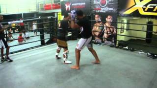 GRACIEMAGcom  Minotauro e o Muay Thai quotMade in Thailandquot [upl. by Ahsieyn]