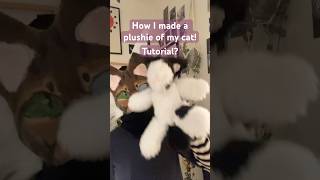 How to make a plushie cat plushie tutorial furry fyp shorts trending [upl. by Erek]