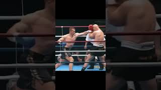 The Devastating Kicks of Mirko quotCro Copquot Filipović  MMA Highlights [upl. by Kentiggerma411]