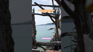 The secret beach in Thailand with the best bar 🥥 Koh Phayam’s hippy bar shaped like a pirate ship [upl. by Charbonneau]