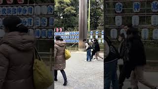 Santuario Meiji Meiji Jingu  Viaje a Tokio [upl. by Fevre]