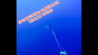 SPEARFISHING AMBERJACK TEAM XT DIVING [upl. by Gardal]