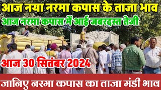 आज 30 सितंबर 2024 नये नरमा कपास के भाव नरमा कपास में जबरदस्त तेजी narma kapas bhav cotton Prices [upl. by Bartle742]