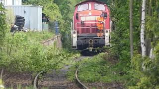 Frühzug unterwegs auf der Holzbachtalbahn [upl. by Sanjay]