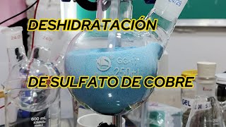 COMO DESHIDRATAR SULFATO DE COBRE ESTEQUIOMETRICAMENTE HABLANDO chemistry edutuber quimica [upl. by Arodaeht]