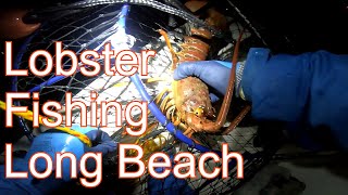 Lobster Fishing Long Beach [upl. by Emile]