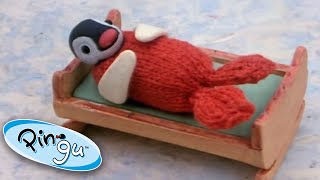 Pingu is Jealous of Pinga  Pingu Official  Cartoons for Kids [upl. by Lepper]