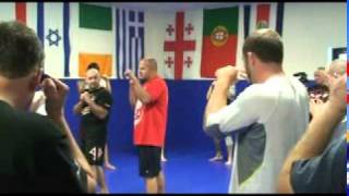 Fedor MMA Boxing Fundamentals [upl. by Rupert671]