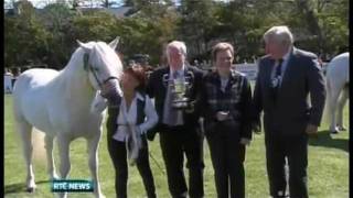 The 2011 Connemara Pony Show Clifden Ireland [upl. by Armat]