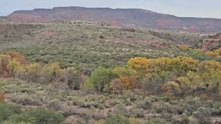 Sedona Trip 1123  1127 2024 Verde Canyon railway Beautiful fall scene ♥️ [upl. by Groos]