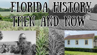 Rescuing History The Journey of a Historic Building from Floridas Pineapple Plantations [upl. by Ahsined611]