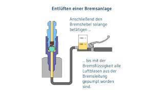 Bremse entlüften  Motorradbremse entlüften mit dem stahlbus Entlüftungsventil [upl. by Wardieu20]