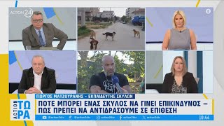 Πότε μπορεί ένας σκύλος να γίνει επικίνδυνος  Πώς πρέπει να αντιδράσουμε σε επίθεση  ACTION 24 [upl. by Arbua105]