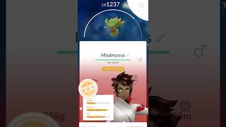 Huge Haul For the Day in Pokemon Go shorts pokemongo halloween [upl. by Tandie864]