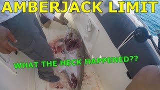 Amberjack Limit Tilefish Grouper deep sea fishing Freeport Tx August 2019 [upl. by Baecher]