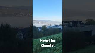 Bingen am Rhein Nebel im Rheintal [upl. by Nauquf489]