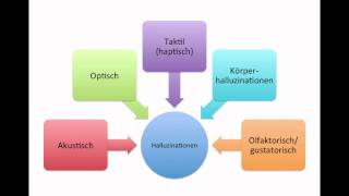 Lernvideo 5 Wahrnehmungsstörungen und Sinnestäuschungen [upl. by Aihsiyt]