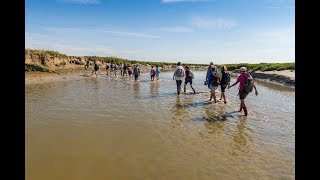 Découverte de la Baie de Somme avec un guide [upl. by Oruhtra117]