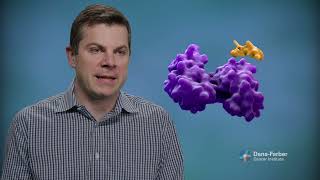 What Is Protein Degradation [upl. by Wes]