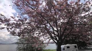 CanaDream RV Rentals  Super Van Camper SVC Promo Video [upl. by Finbur]